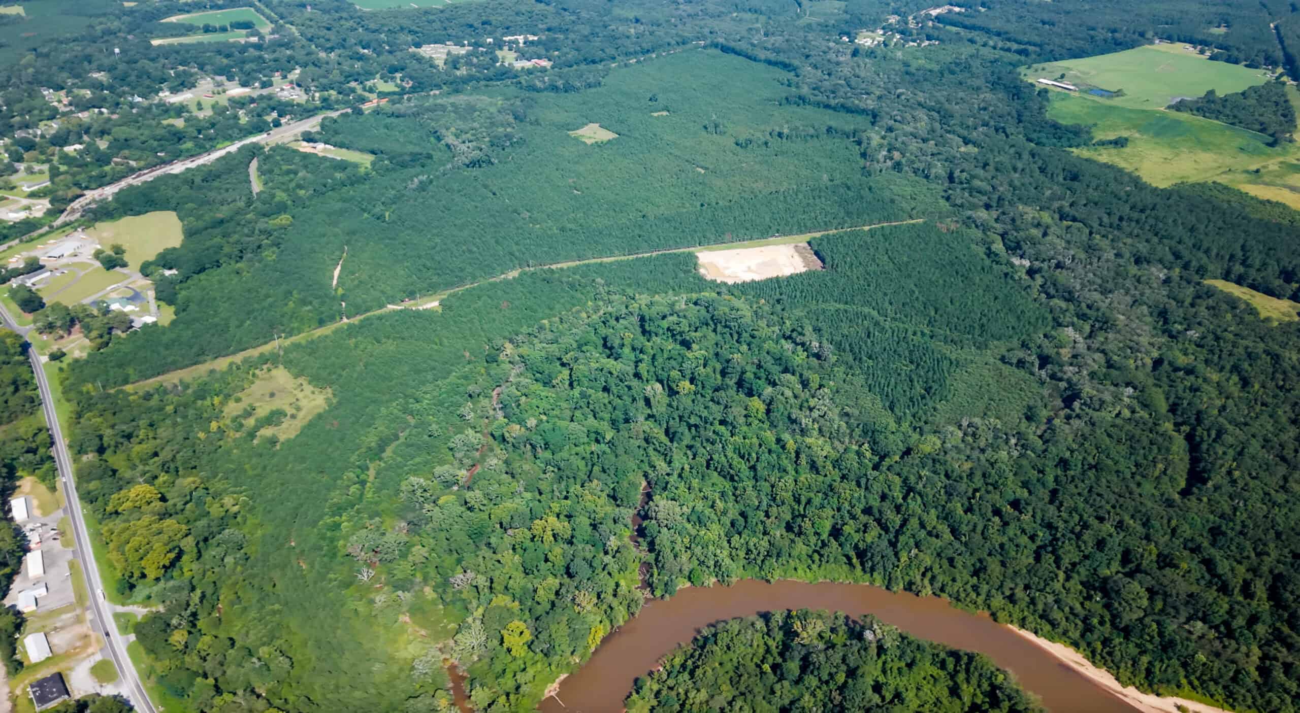 224.56 Acres | Buck Creek 224 | Montezuma, GA